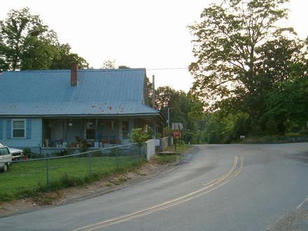 Taylor Image