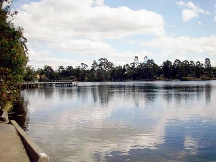Forest Lake Image