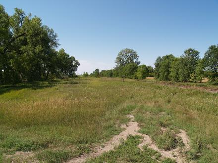 Wilds Image