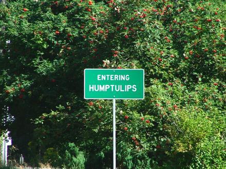 Humptulips Image