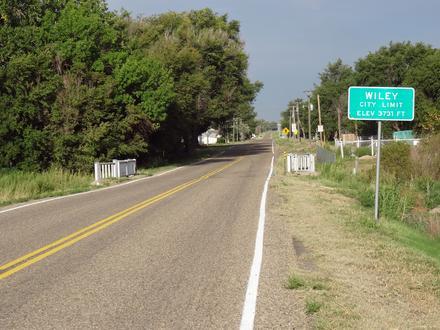 Wiley Image