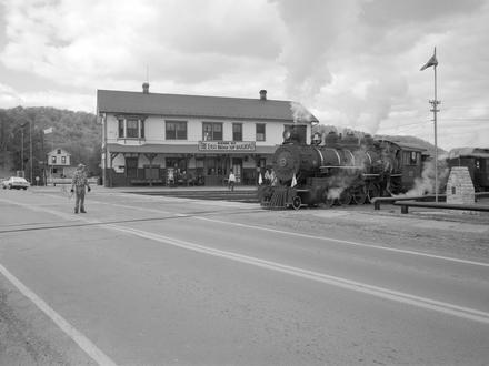 Orbisonia Image