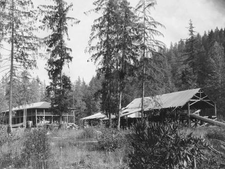 McCredie Springs Image