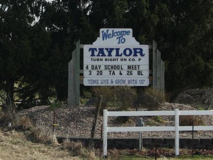 Taylor Image