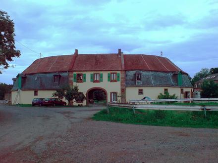 Waldmohr Image