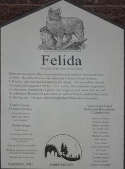 Felida Image