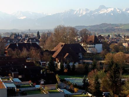 Münsingen Image
