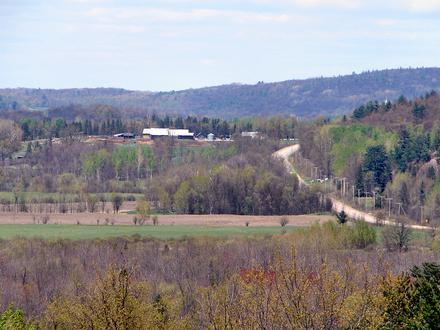Litchfield Image