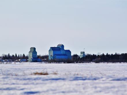 Forestburg Image
