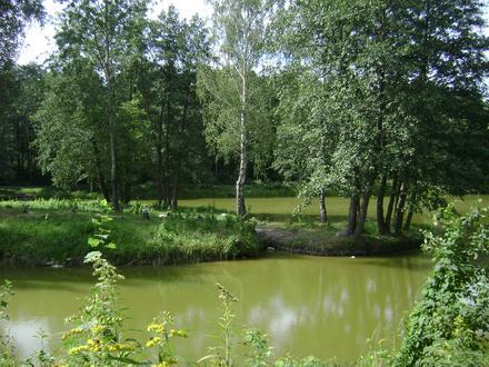 Zalesie Górne Image