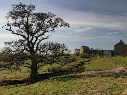 Bild von Bellingham (Northumberland)