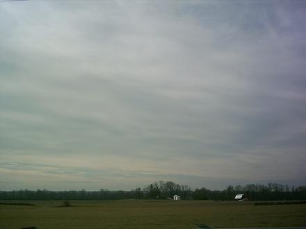 Sealston Image