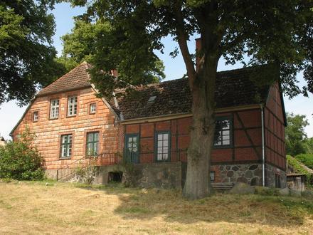 Dümmer, Mecklenburg-Vorpommern Image
