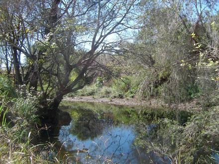 Rosevale Image