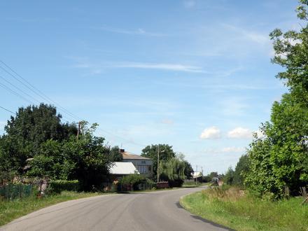 Osinki Image