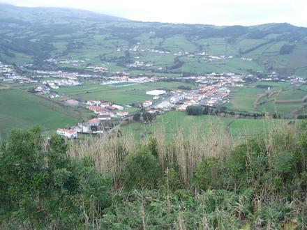 Flamengos Image