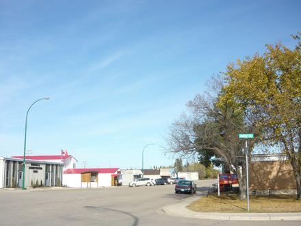 Waldheim Image