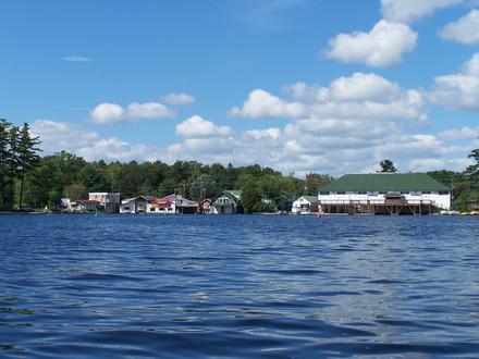 Bala Image