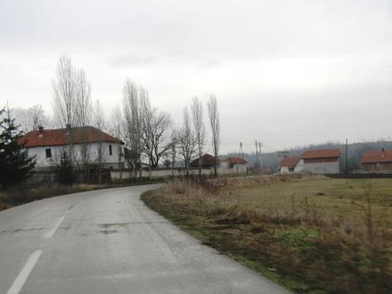Mijajlica Image