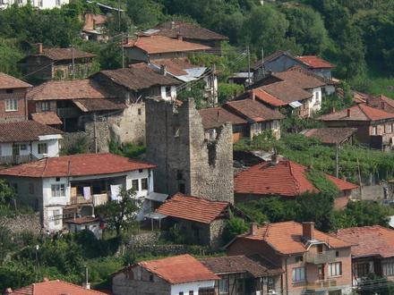 Koprivlen Bild