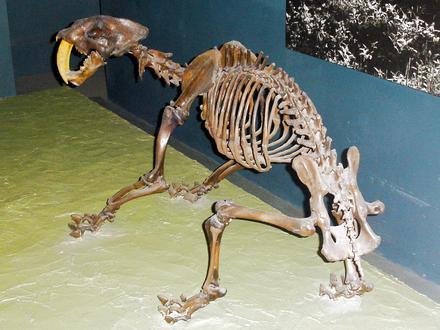 Corriganville Image