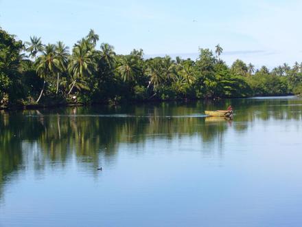 Gambar Madang
