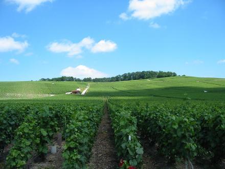Liste des Code Postal de Épernay, Champagne-Ardenne - Cybo