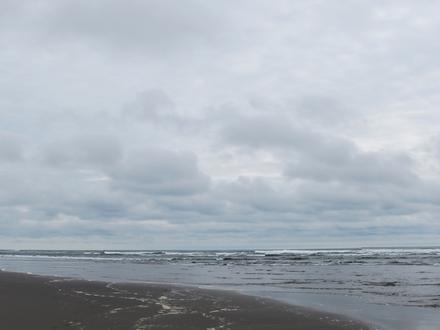 Long Beach (Washington) Image