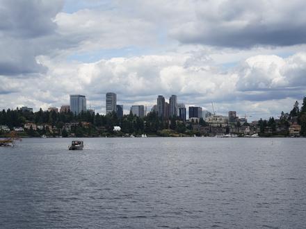 Bellevue Image
