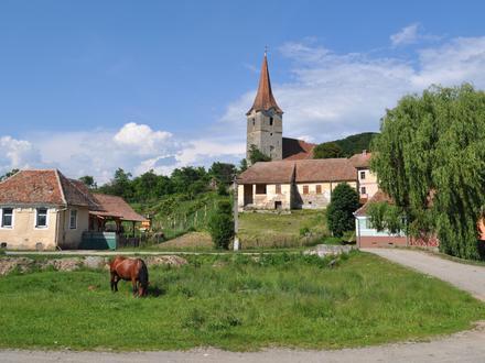 Bălăușeri Image