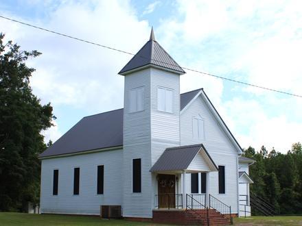 Vineland Image