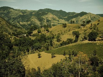 Corozal Image