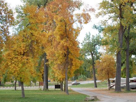 Laurel (Montana) Image