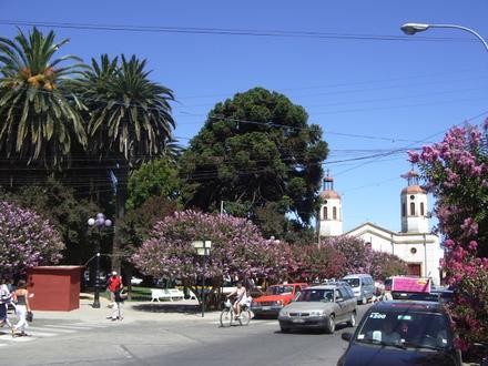 San Vicente de Tagua Tagua Image