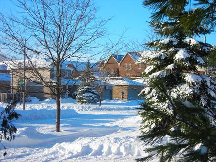 Barrie Image