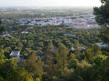 Casarano Image