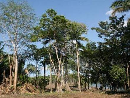 Rancho Dolores Image