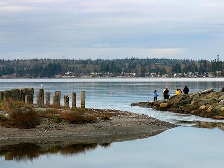 Birch Bay Image