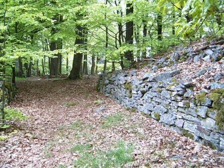 Allenbach képe