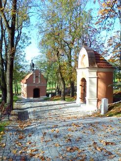 Pakość Image