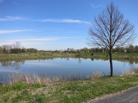 Carol Stream Image