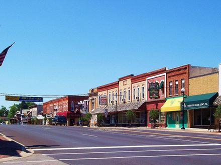 Chesaning Image