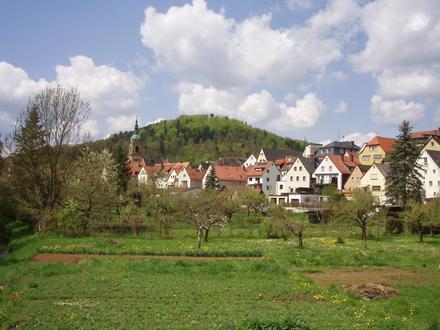 Pegnitz (by) Image