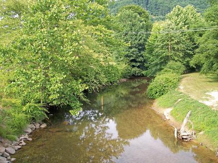 Birch River Image