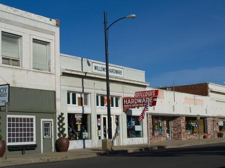 Willows Image
