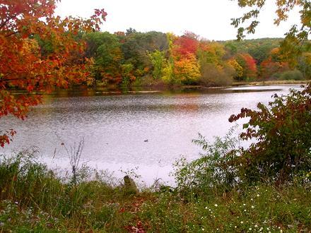 Hamden Image