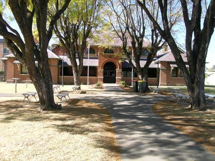 Moree Image