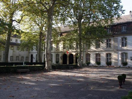 Rixheim Image