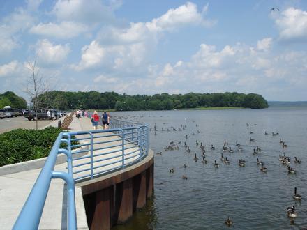 Linesville Image
