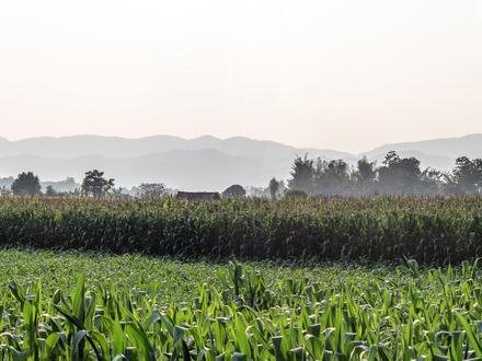 Chiang Klang Image